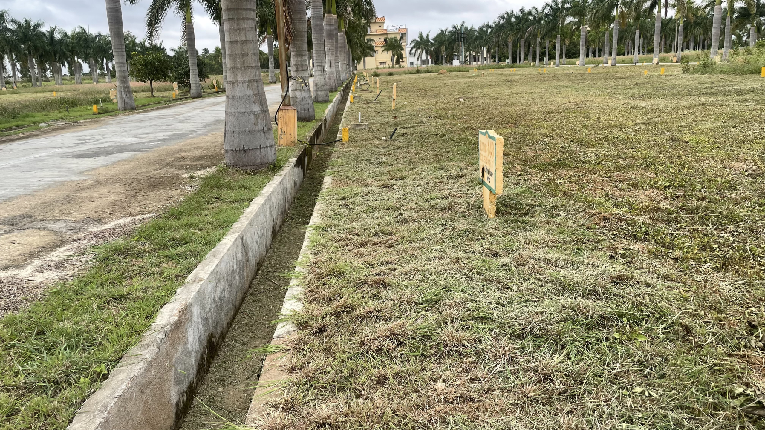 Residential Plots