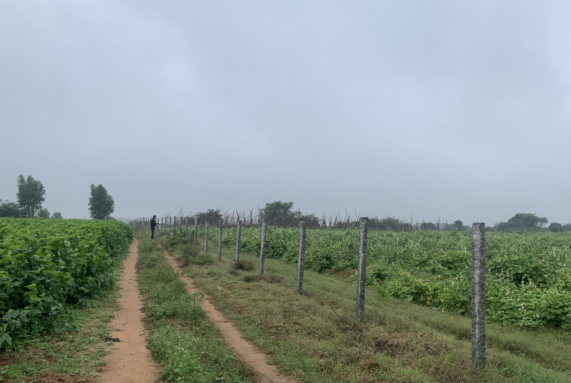 Farm Land