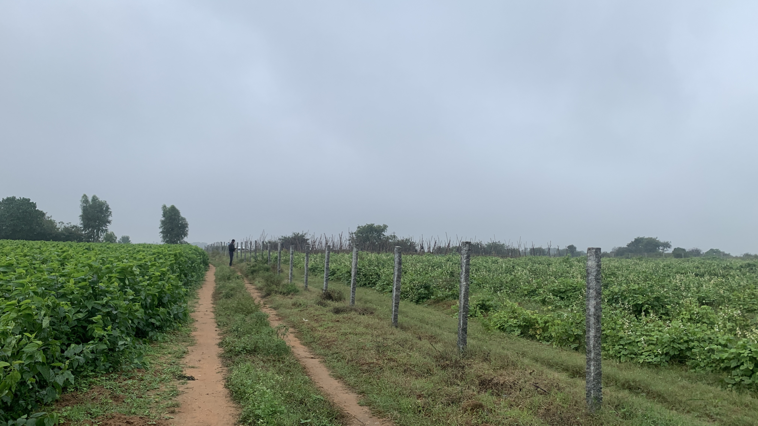 Farm Land
