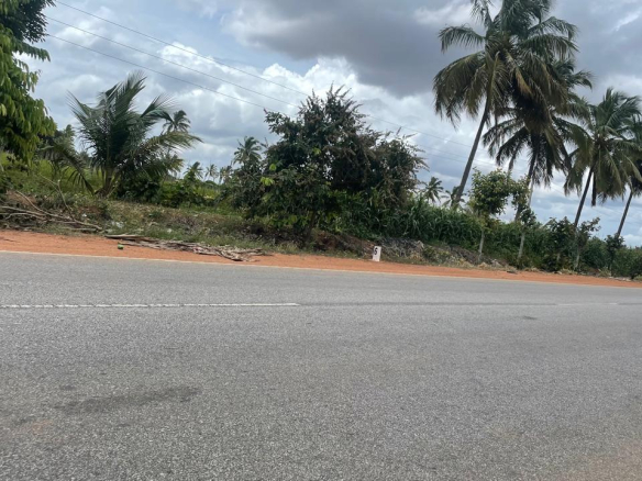 Commercial Land Bangalore