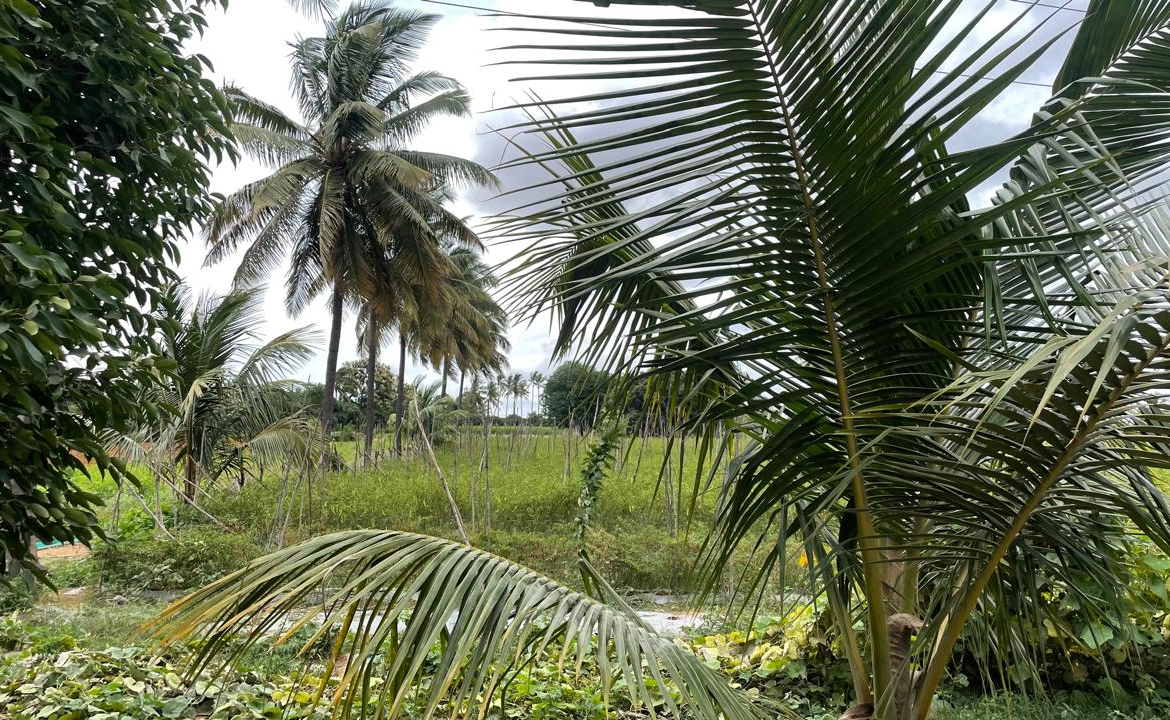 Commercial Land Bangalore