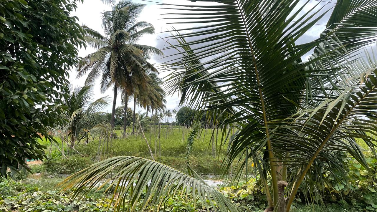 Commercial Land Bangalore