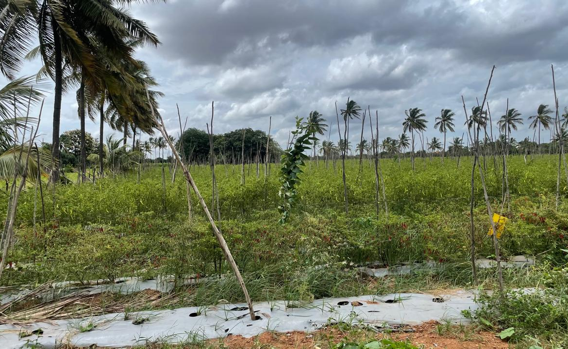 Commercial Land Bangalore