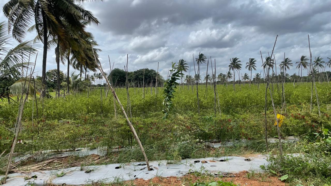 Commercial Land Bangalore