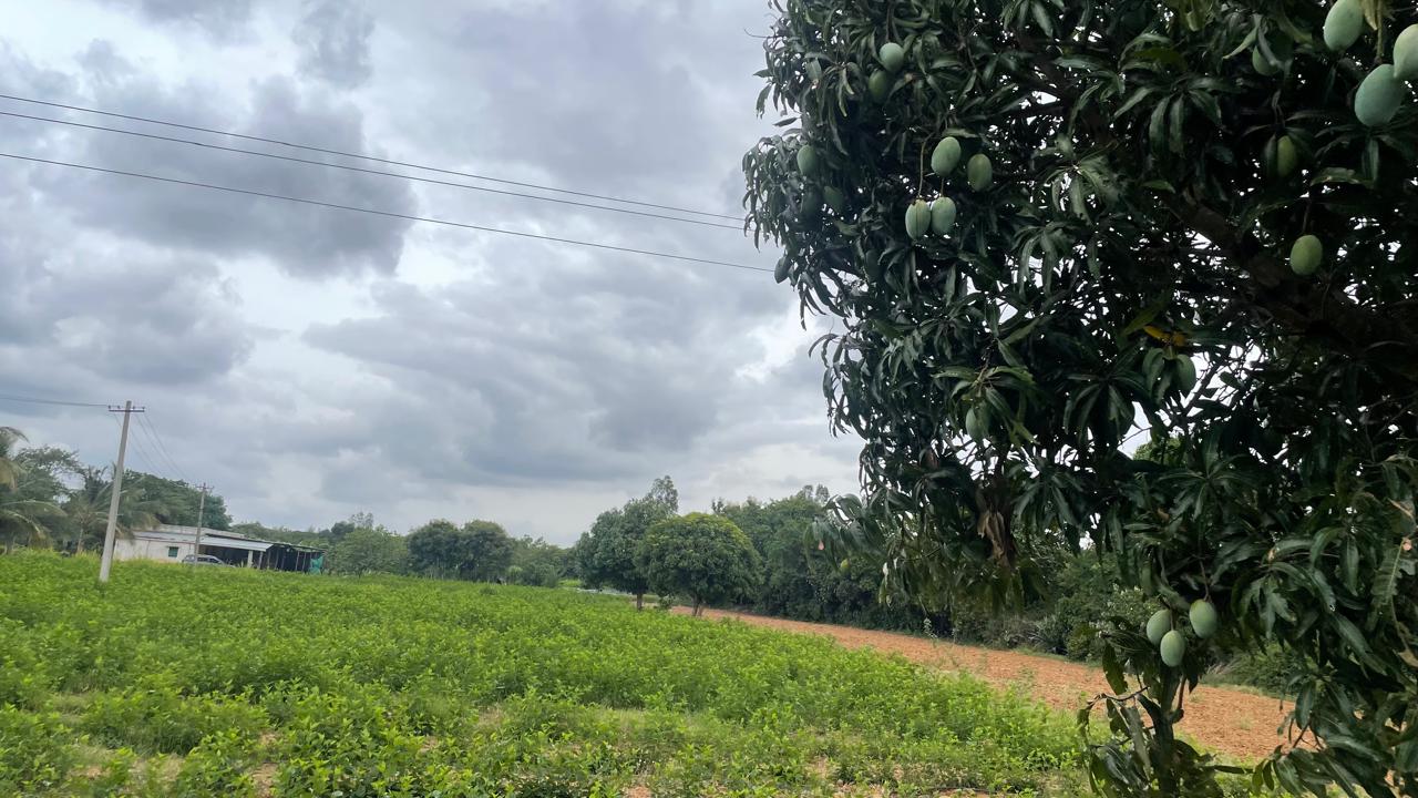 Farmland Bangalore