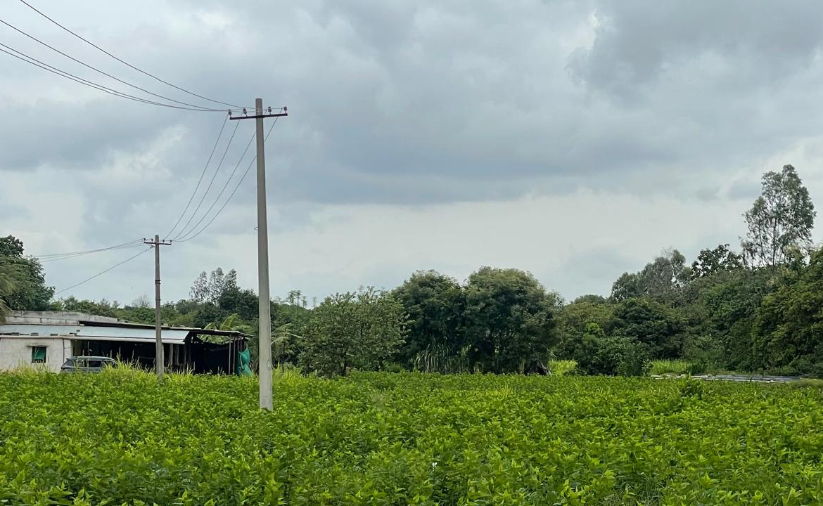 Farmland Bangalore