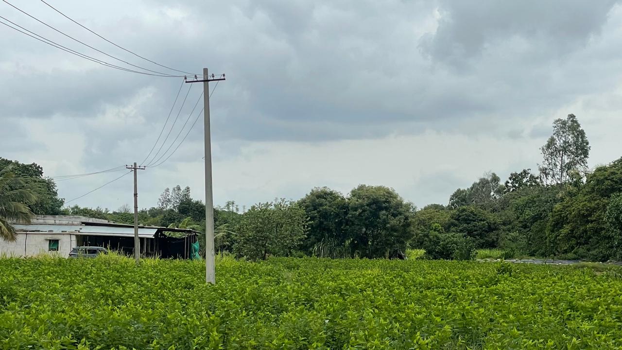 Farmland Bangalore