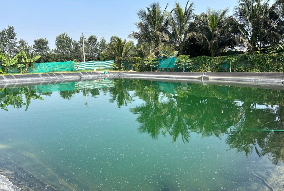 Farm Land