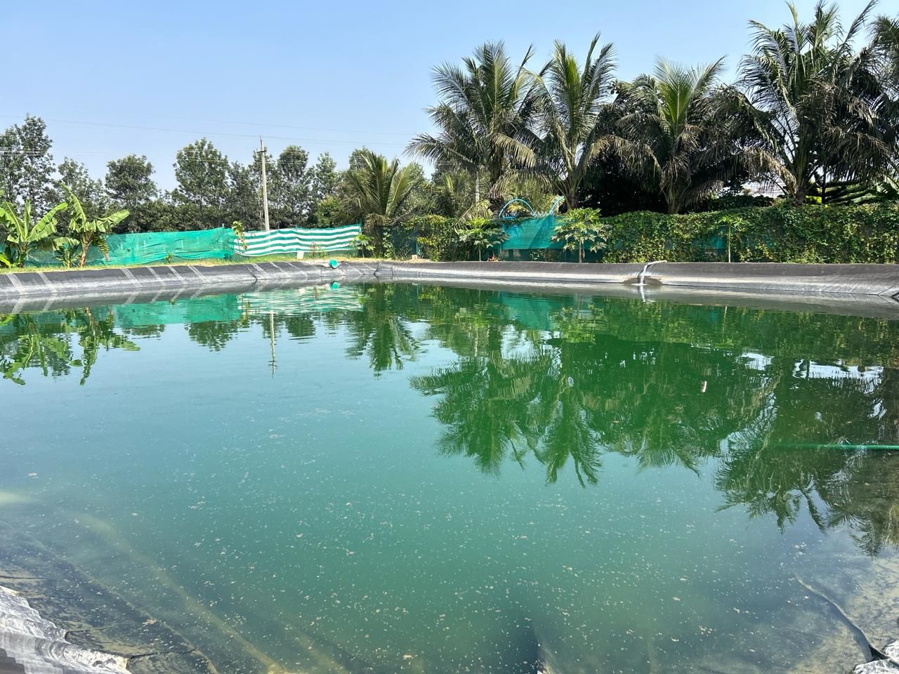 Farm Land
