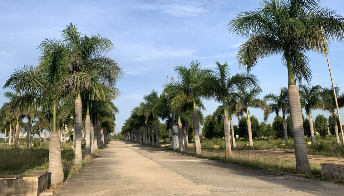 Plot for sale Bangalore