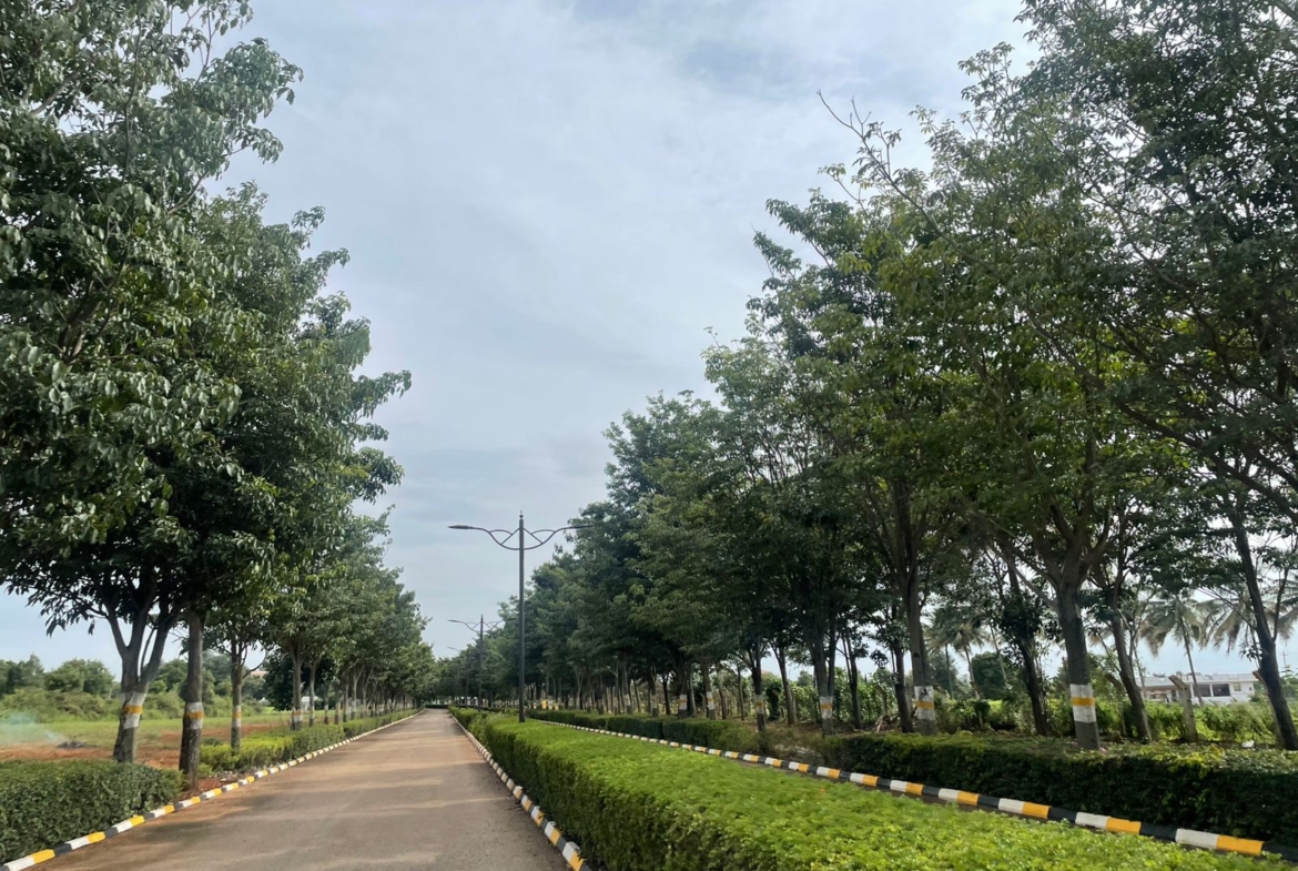 Plot for sale Bangalore
