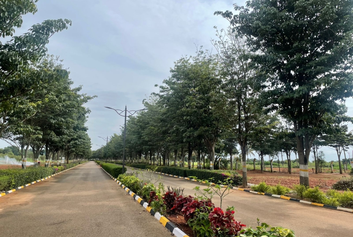 Plot for sale Bangalore