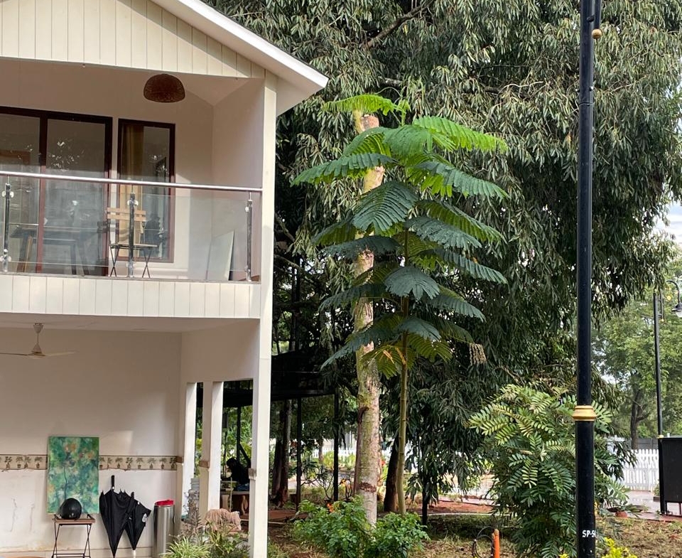 Premium Villa plot